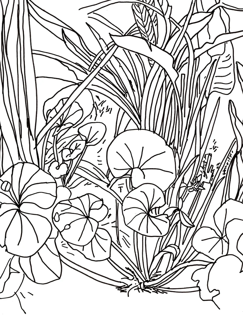 Editions d'art de l'artiste Déborah Di Fiore, signées et numérotées sur leurs certificats
