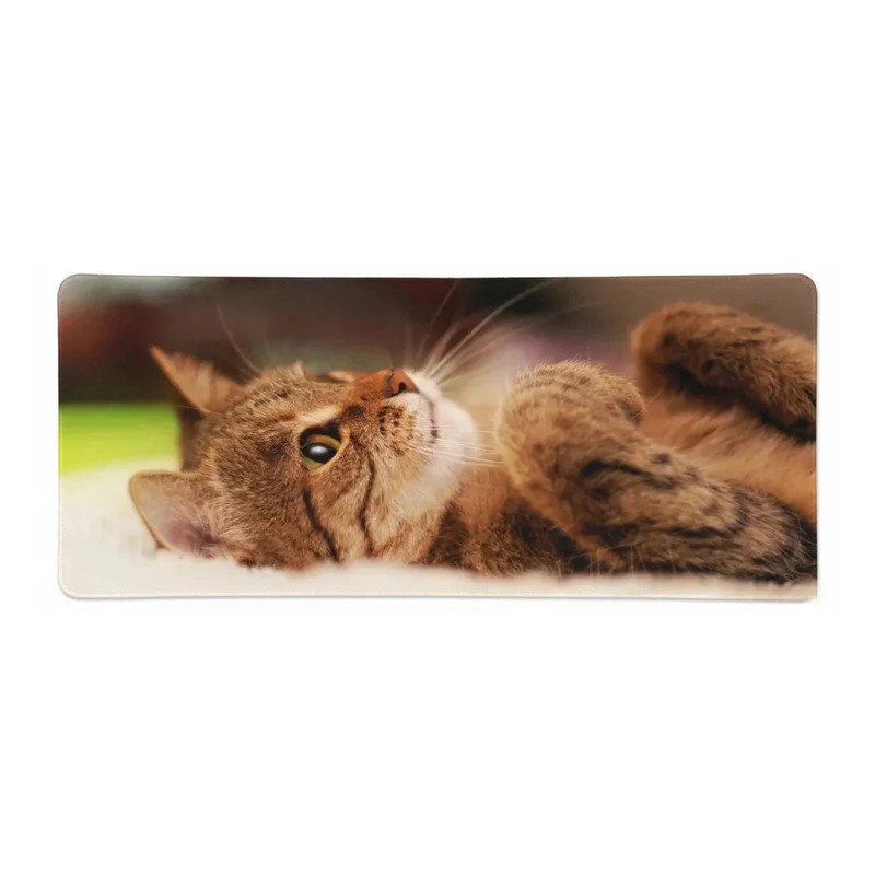 XXL Cat Mouse Pad — Curled-Up Tabby, Tender Portrait | PopMyPad