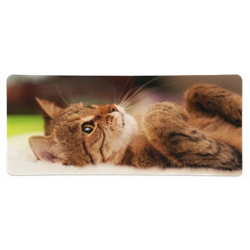 XXL Cat Mouse Pad — Curled-Up Tabby, Tender Portrait | PopMyPad