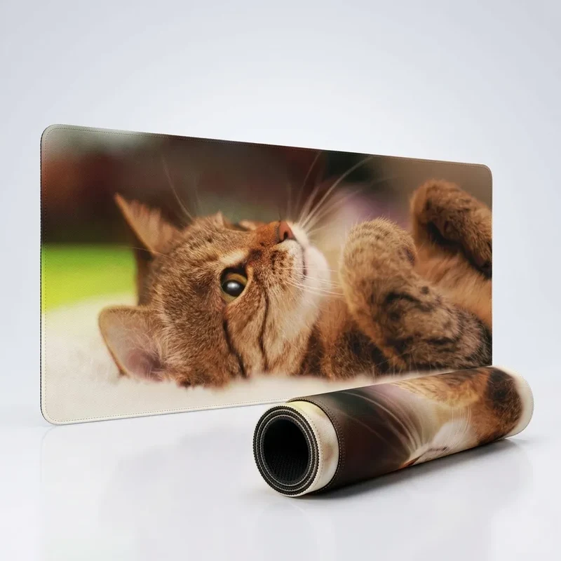 XXL Cat Mouse Pad — Curled-Up Tabby, Tender Portrait | PopMyPad