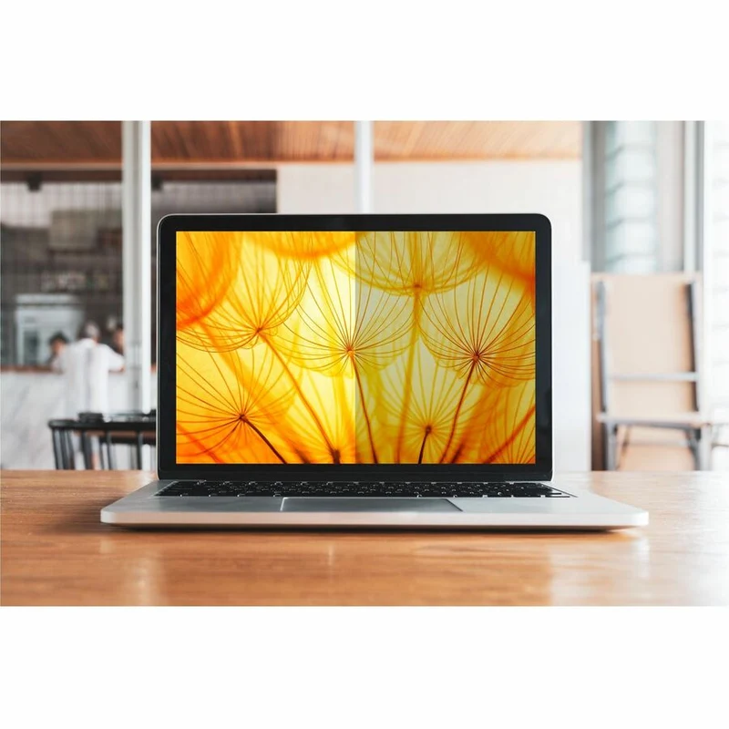 Filtre de confidentialité 3M Bright Screen pour Microsoft Surface Pro Noir, Mat BPTMS002