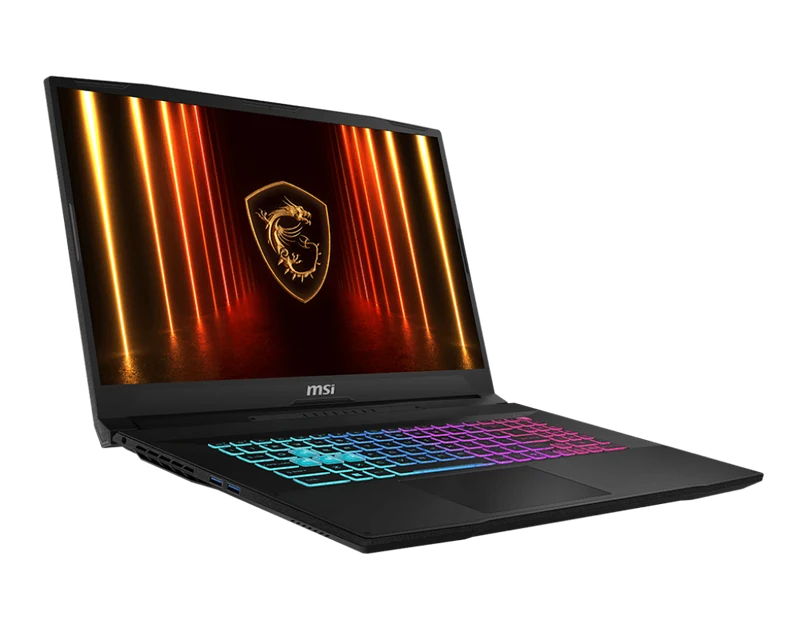 MSI Katana 17 HX B14WGK-013FR