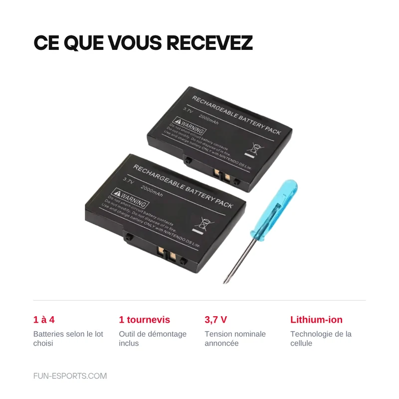 Batterie de remplacement pour DS Lite — 2000 mAh, tournevis inclus