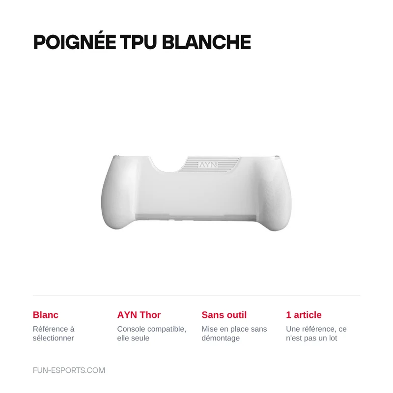 Accessoires de protection pour AYN Thor : housse, sacoche, dragonne