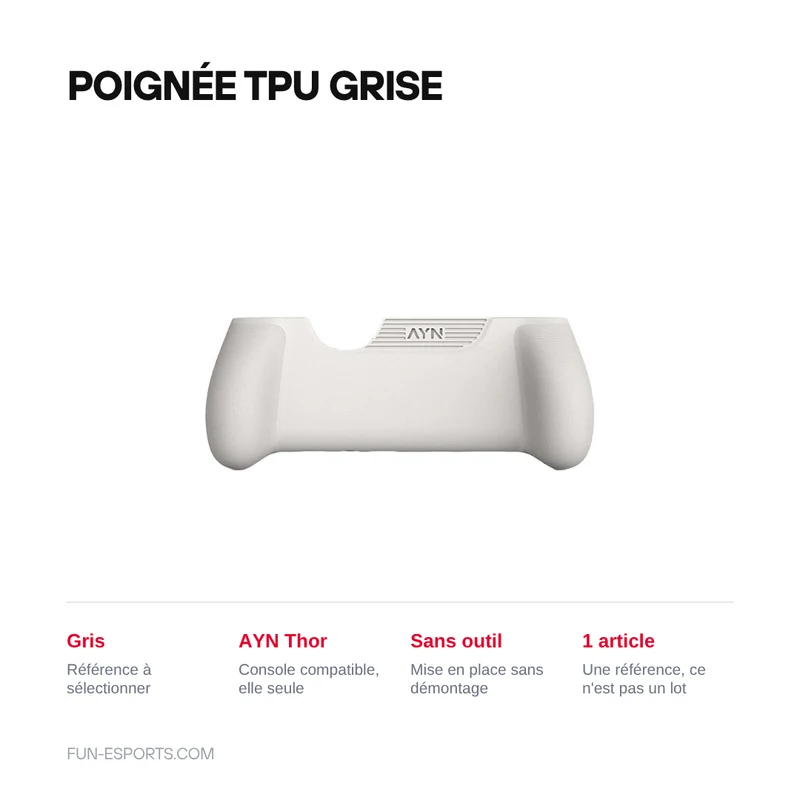 Accessoires de protection pour AYN Thor : housse, sacoche, dragonne