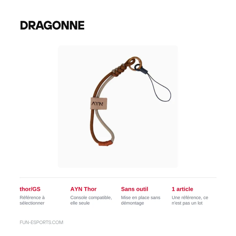 Accessoires de protection pour AYN Thor : housse, sacoche, dragonne
