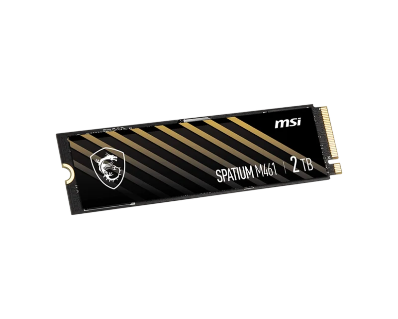 MSI SPATIUM M461 PCIe 4.0 NVMe M.2 2TB