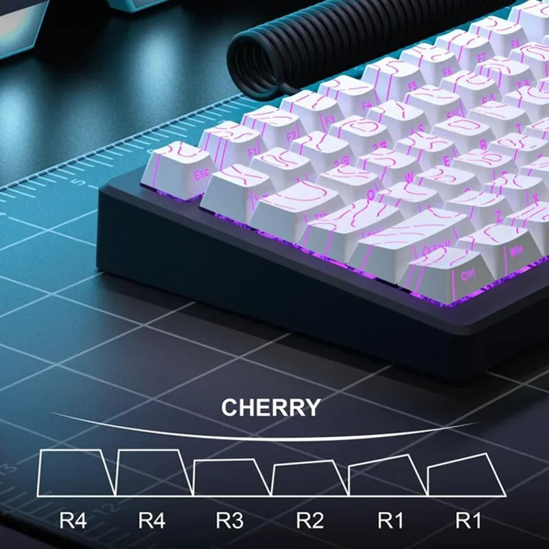 Keycaps PBT topographiques — légendes latérales, tiges MX