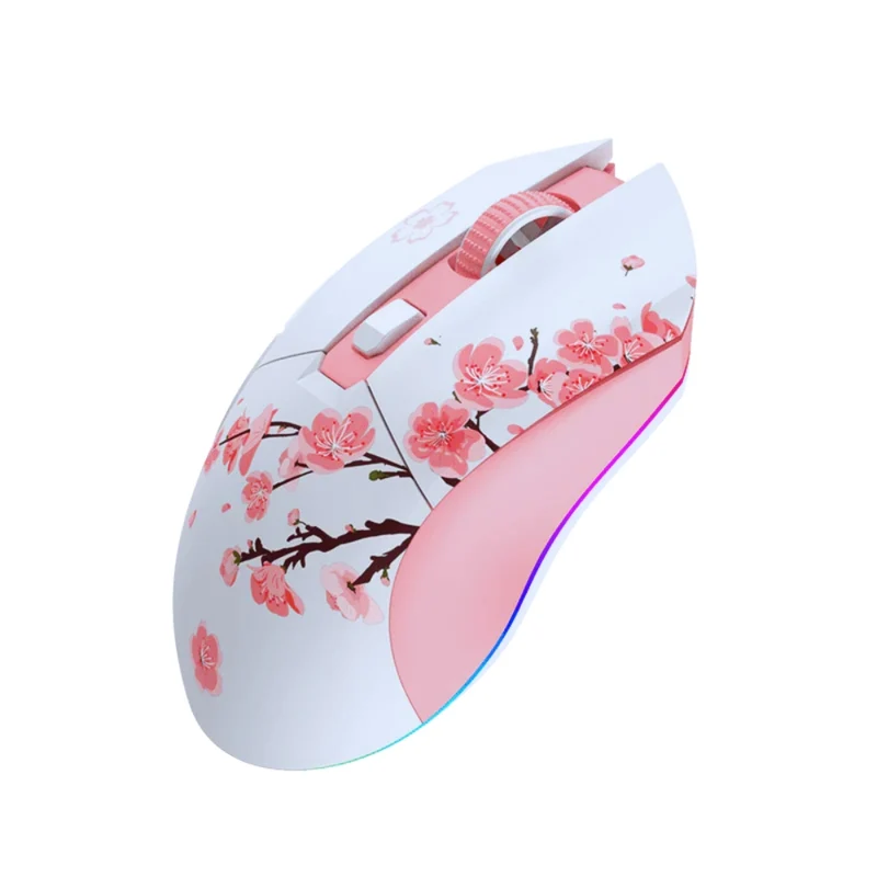 Dareu EM901X Souris Gamer Sans-fil - Précision et Ergonomie