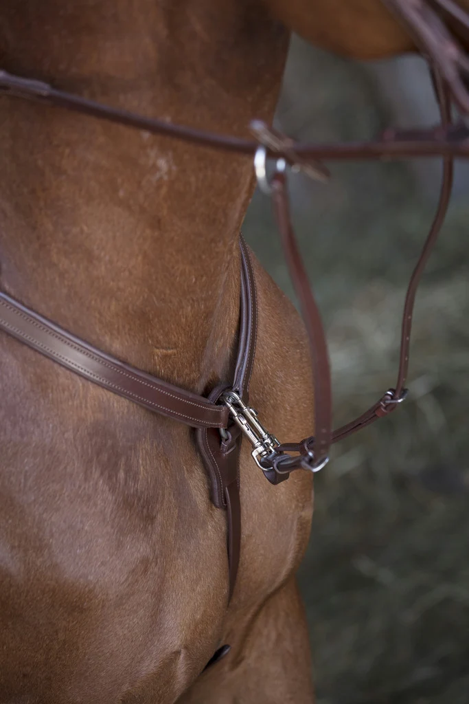 Collier de chasse NORTON PRO