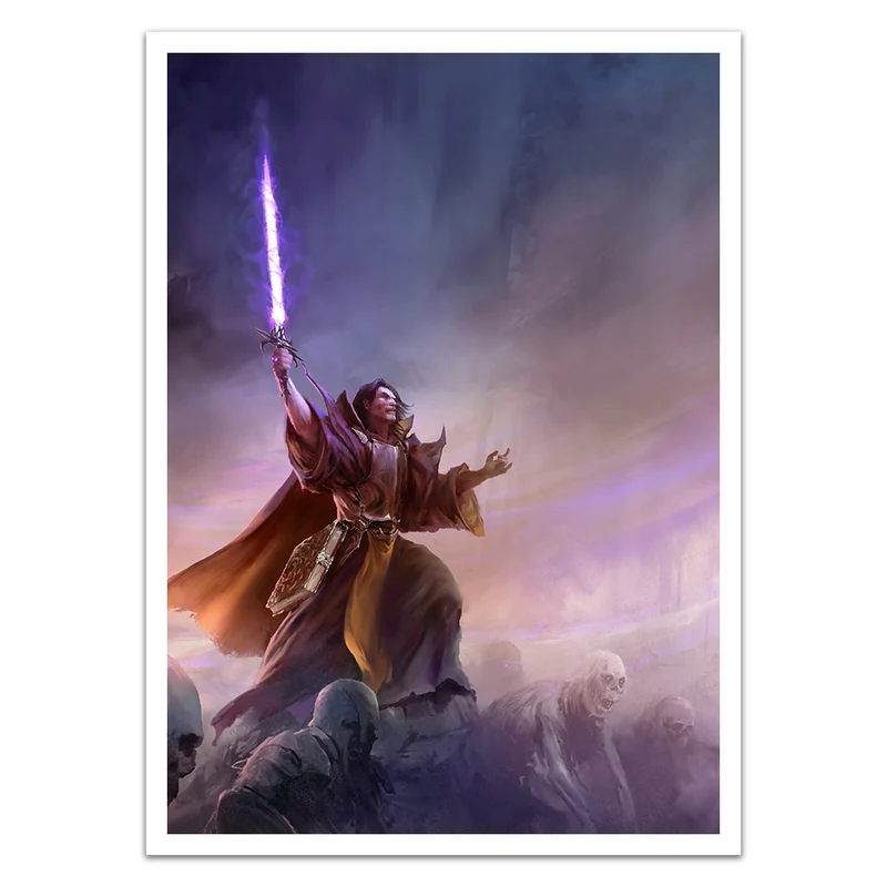Arch Wizard Card Sleeves