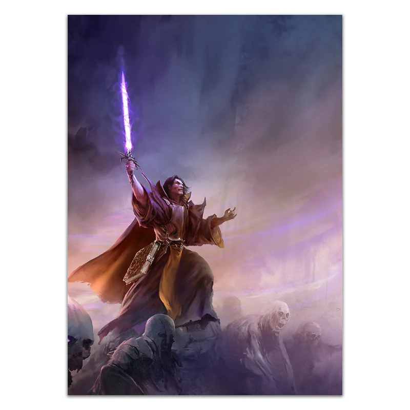 Arch Wizard Card Sleeves