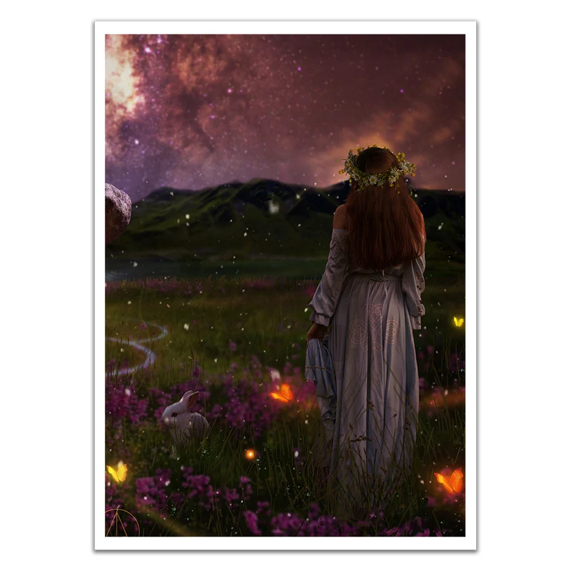 OSTARA Card Sleeves