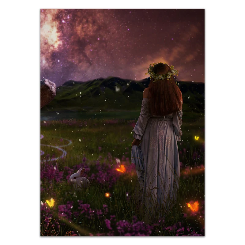 OSTARA Card Sleeves