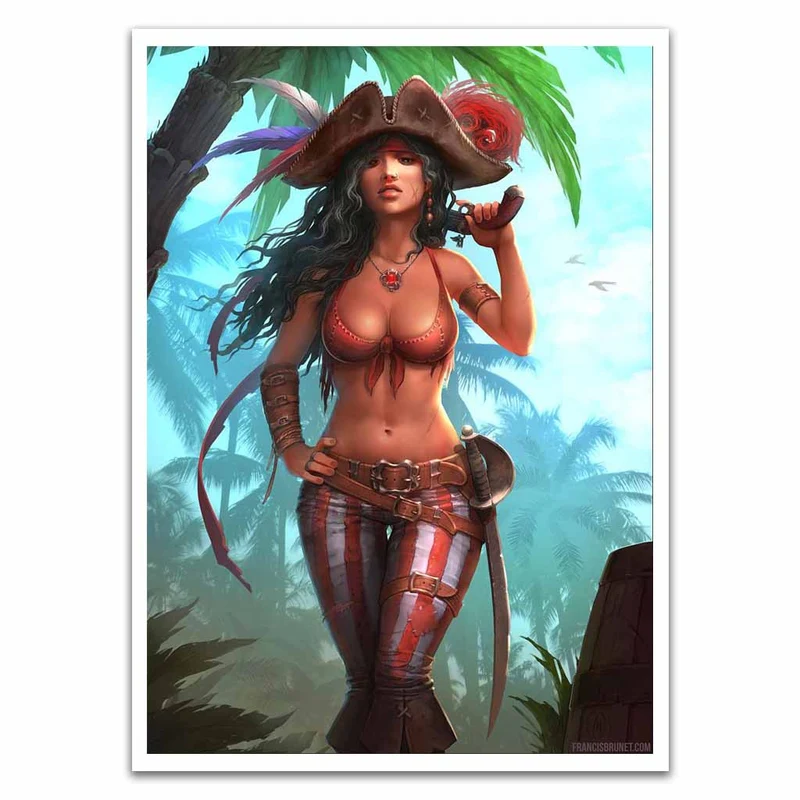 Sexy Pirate Card Sleeves