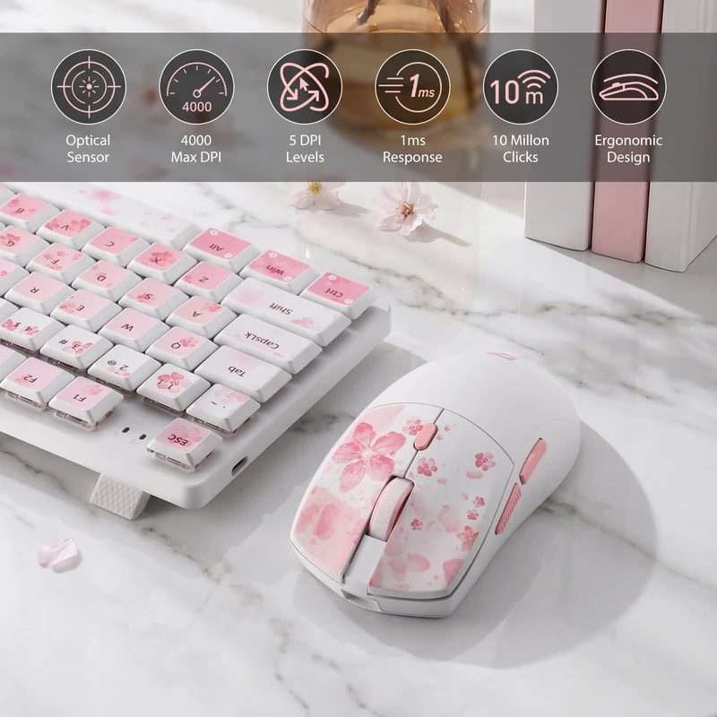 BS7552 Wireless Keyboard and Mouse Combo