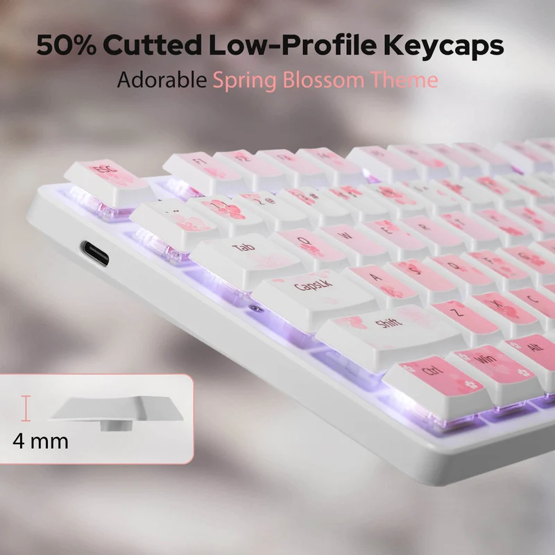 BS7552 Wireless Keyboard and Mouse Combo