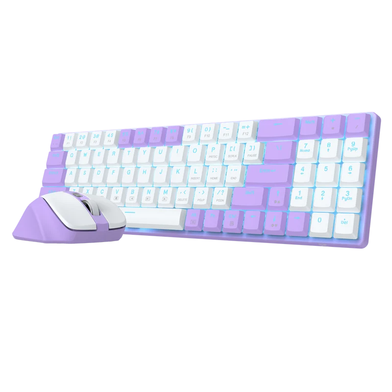 BS8773 Wireless Keyboard and Mouse Combo