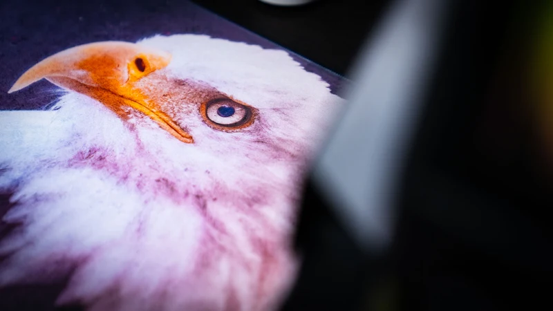"Bald Eagle Version 1" — America 250 Deskmat