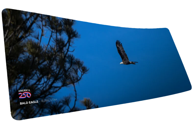 "Bald Eagle in Flight America 250 Animal Collection" — Animals Deskmat