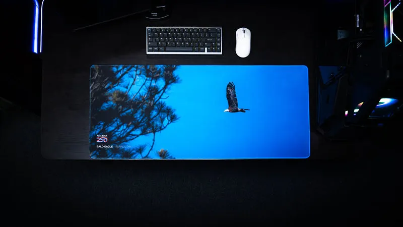 "Bald Eagle in Flight America 250 Animal Collection" — Animals Deskmat