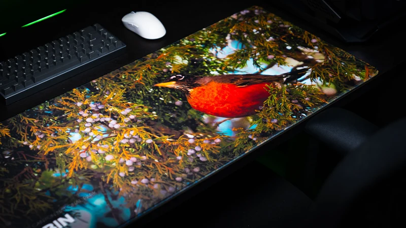 "American Robin America 250 Animal Collection" — Animals Deskmat