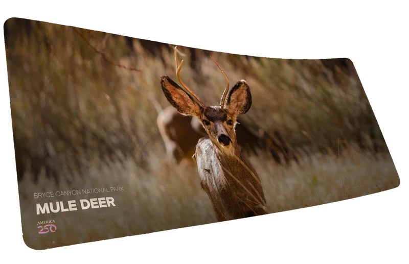 "Mule Deer Buck America 250 Animal Collection" — Animals Deskmat