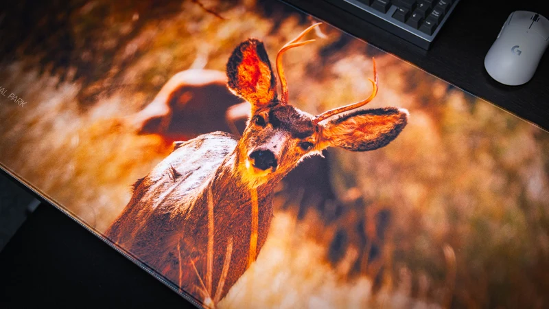 "Mule Deer Buck America 250 Animal Collection" — Animals Deskmat