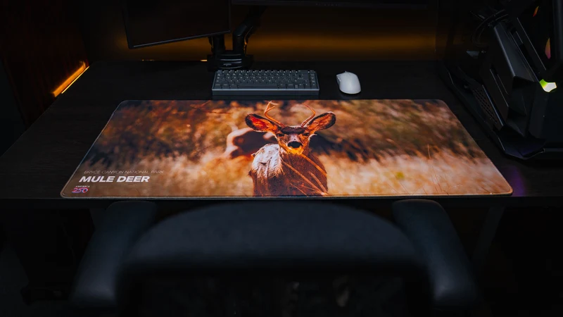"Mule Deer Buck America 250 Animal Collection" — Animals Deskmat