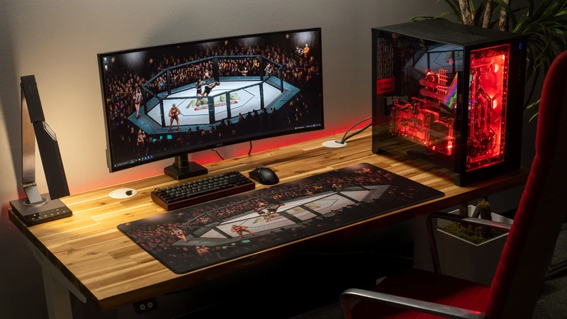"The Fight" — Juliakins Deskmat