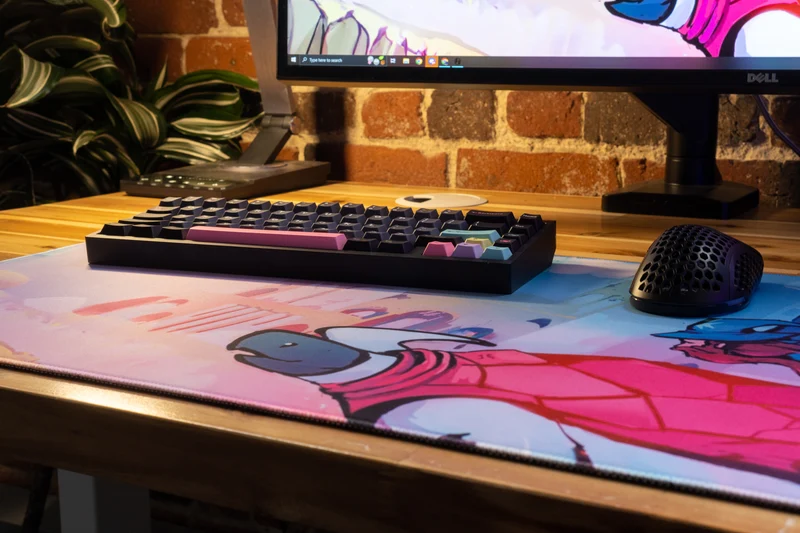 "Turtle Friend" — Jorbs Deskmat