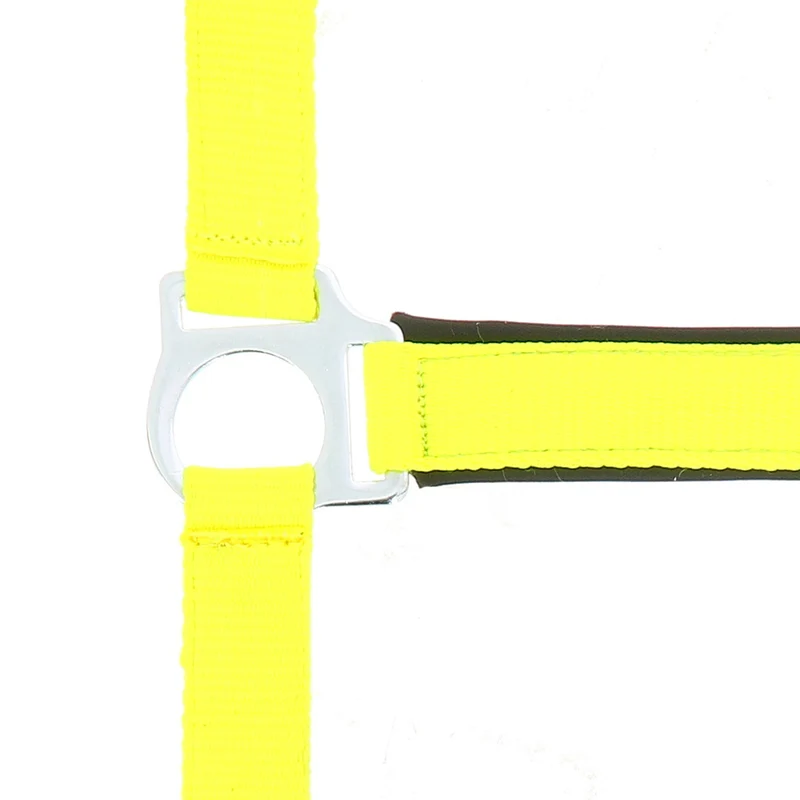 LICOL NORTON "FLUO" DOUBLÉ, 4 coloris