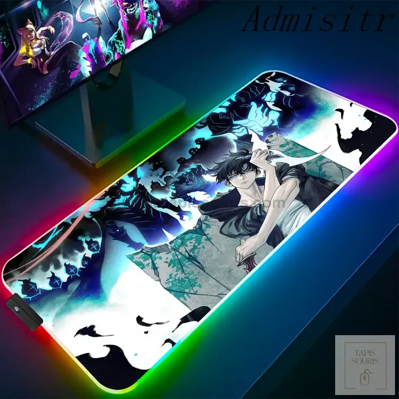 Tapis de Souris RGB Solo Leveling