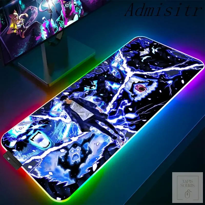 Tapis de Souris RGB Solo Leveling