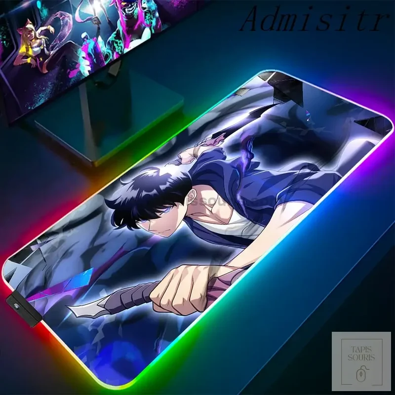 Tapis de Souris RGB Solo Leveling