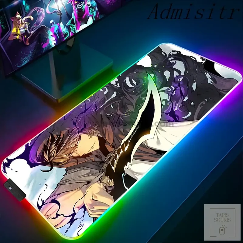 Tapis de Souris RGB Solo Leveling