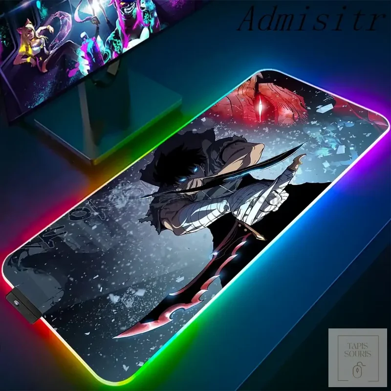 Tapis de Souris RGB Solo Leveling