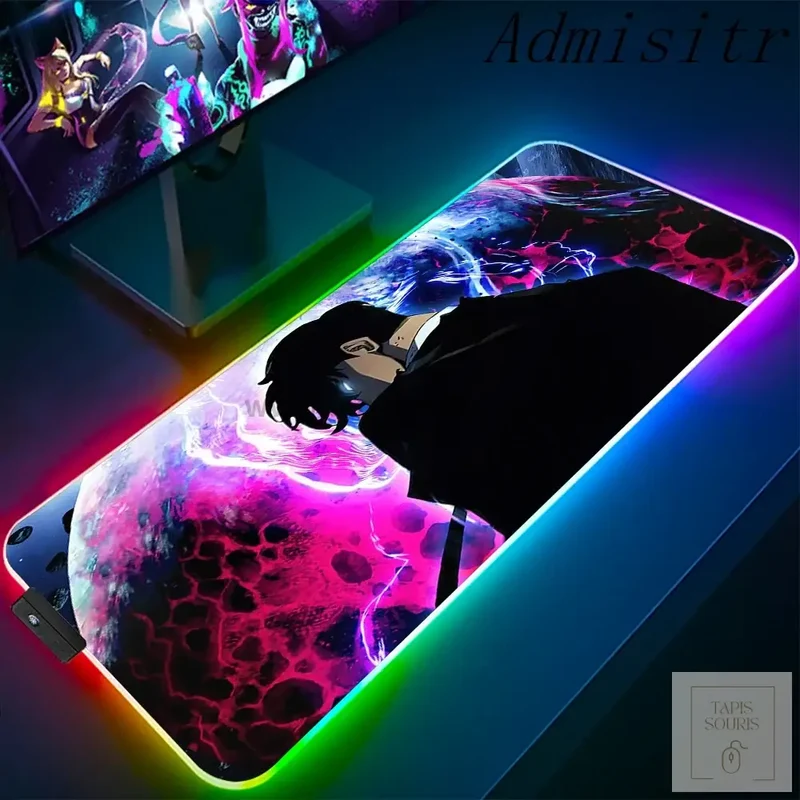 Tapis de Souris RGB Solo Leveling