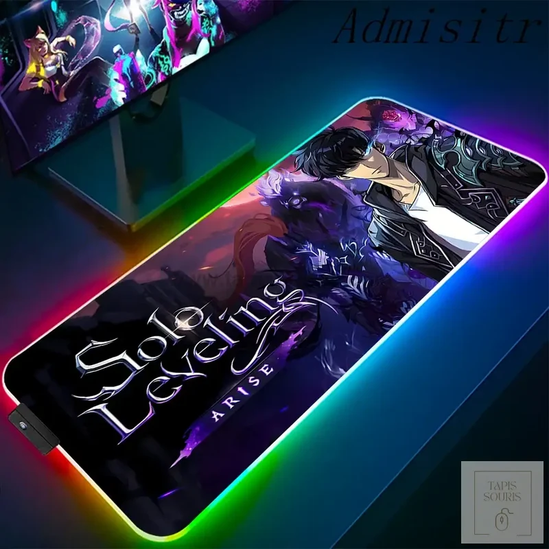 Tapis de Souris RGB Solo Leveling