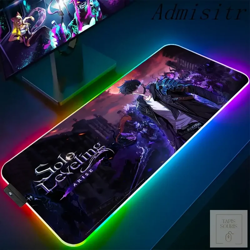 Tapis de Souris RGB Solo Leveling