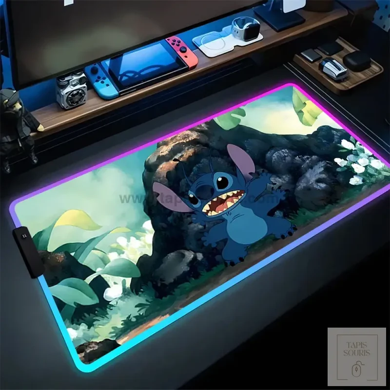 Tapis de Souris RGB Stitch