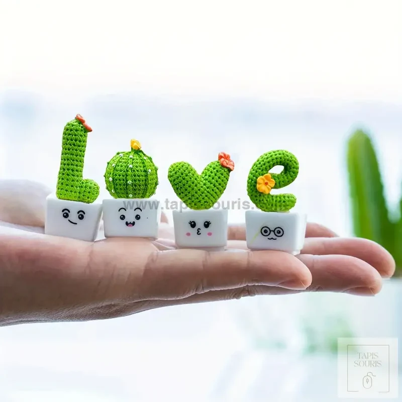 Plante Pour Bureau