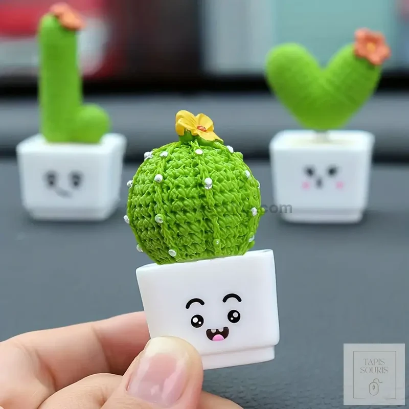Plante Pour Bureau