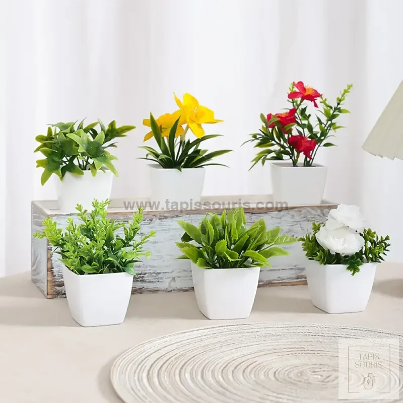 Plante Bureau