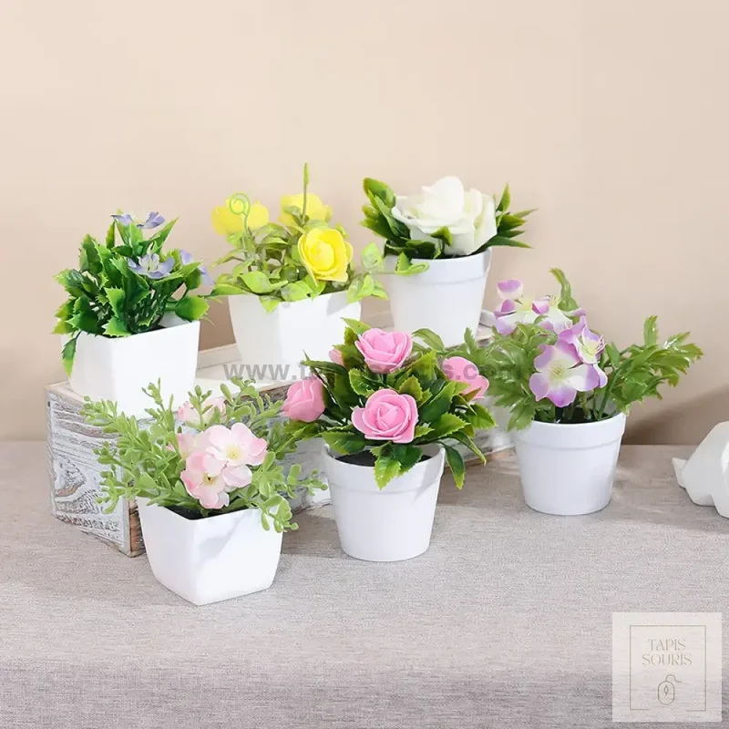 Plante Bureau