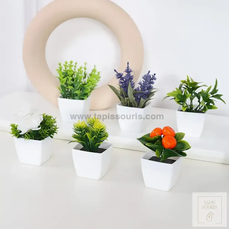 Plante Bureau