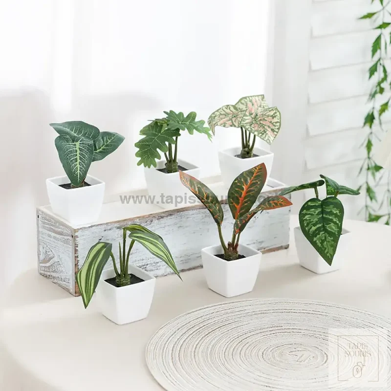 Plante Bureau