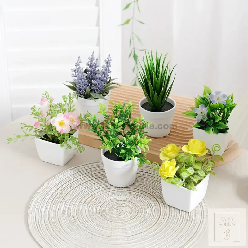 Plante Bureau