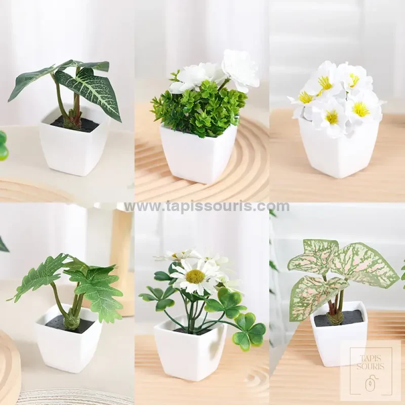 Plante Bureau