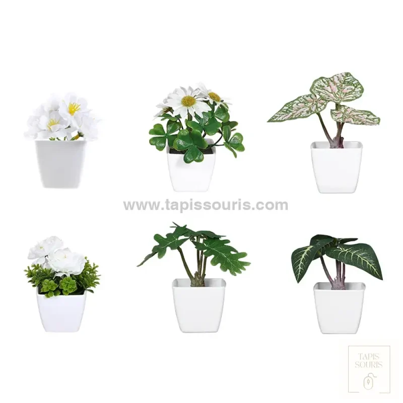 Plante Bureau